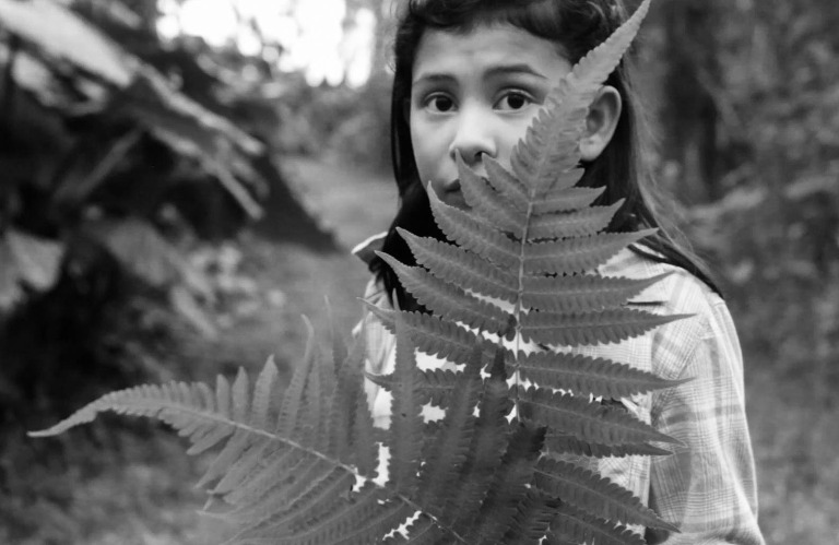 Tampa lifestyle children's photographer - a young girl holding ferns while exploring nature